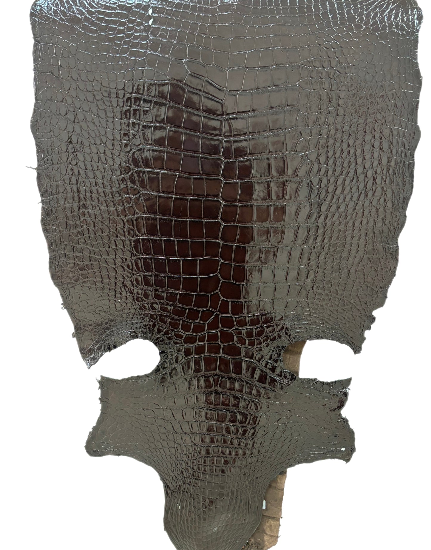45 cm Grade 3/4 Chocolate Millennium Wild American Alligator Leather - Tag: LA23-0016527