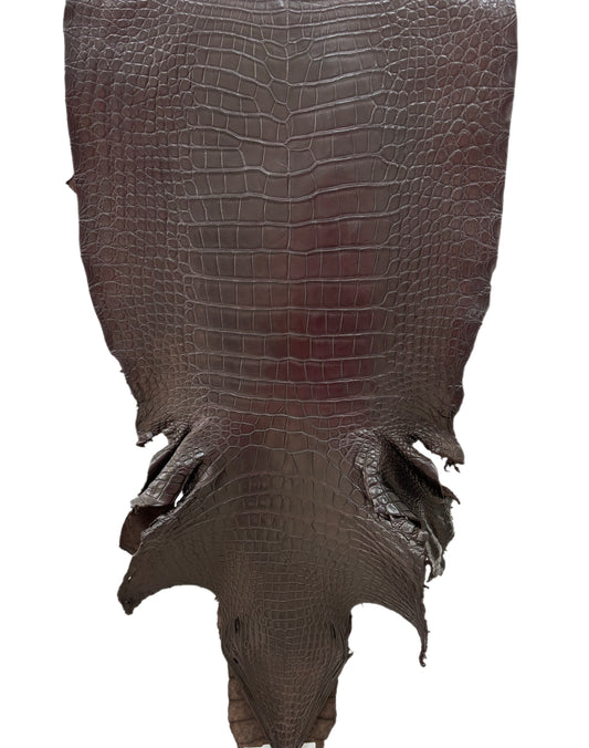 44 cm Grade 2/3 Kralle Brown Matte Wild American Alligator Leather - Tag: LA23-0016609