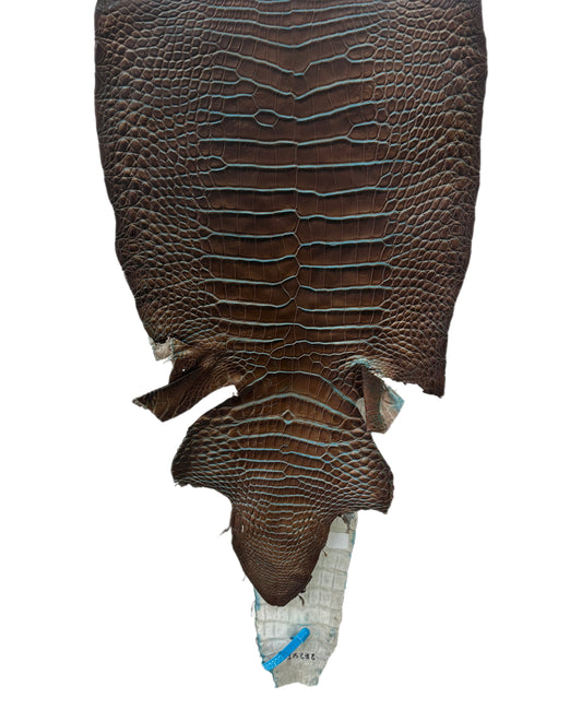 30 cm Grade 2/3 Pacifica Matte Wild American Alligator Leather - Tag: ESRE-0050892