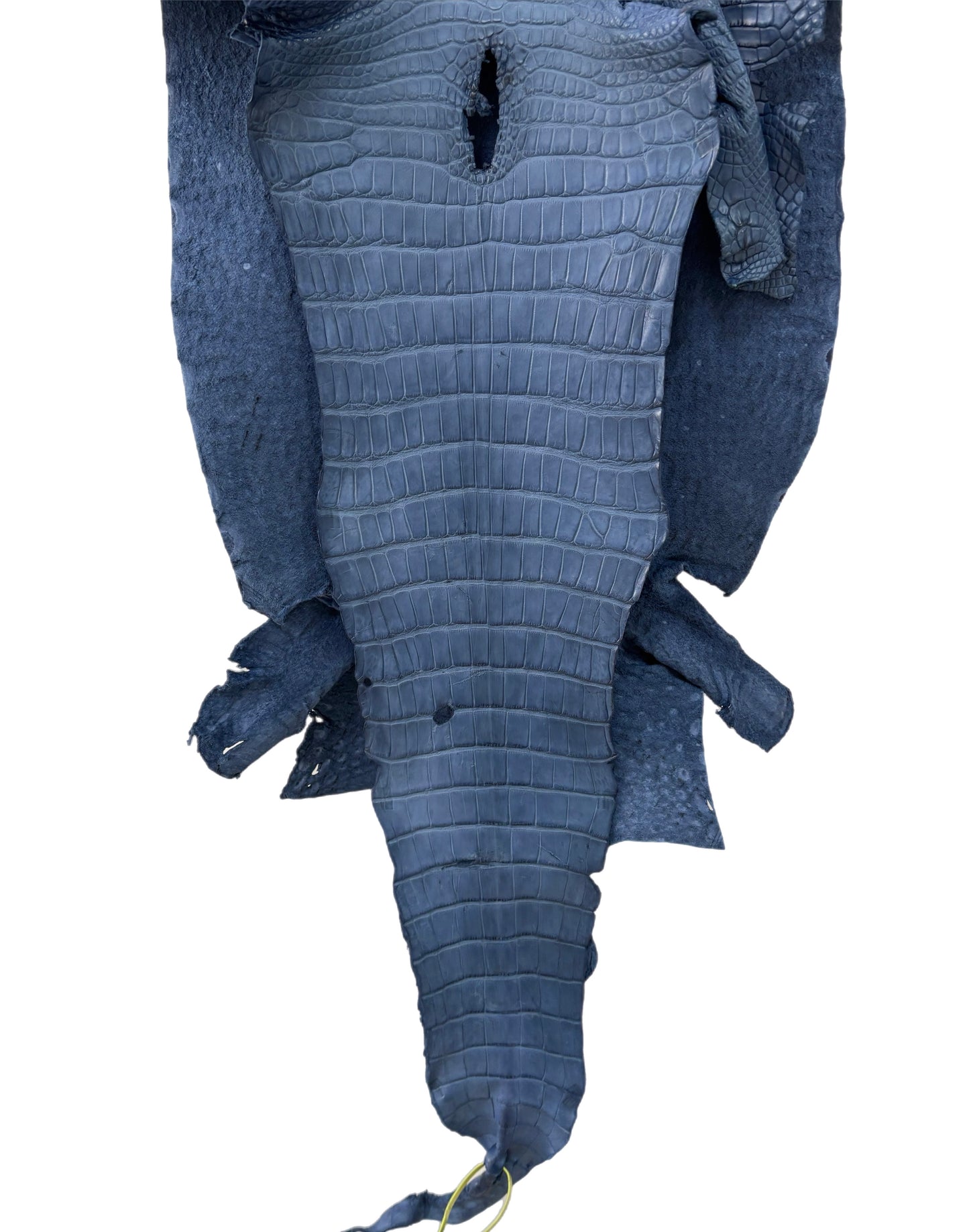 40 cm Grade 2/3 Indigo Matte Wild American Alligator Leather - Tag: LA22-0003976