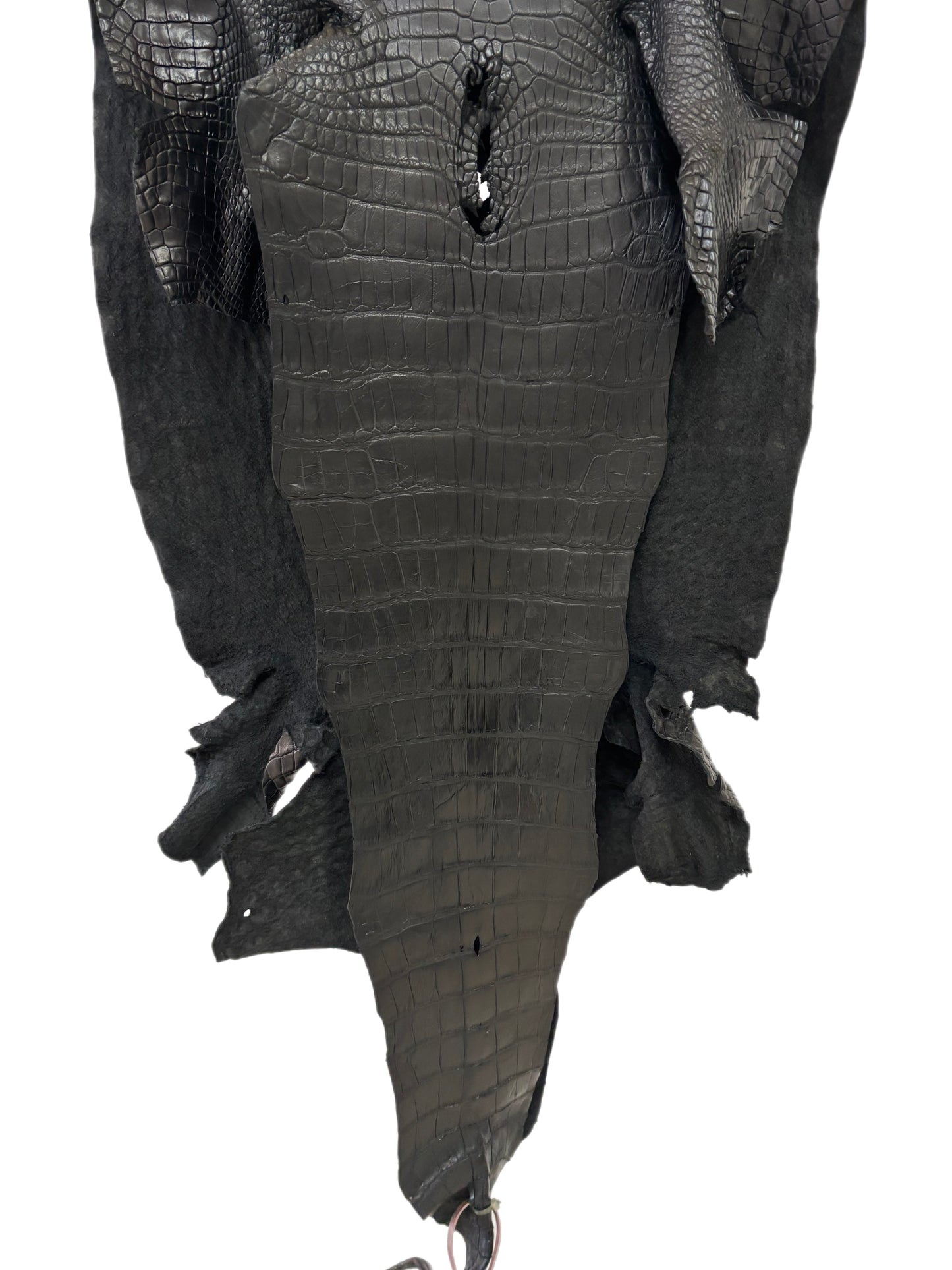 48 cm Grade 4/5 Black Matte Wild American Alligator Leather - Tag: LA24-0031238
