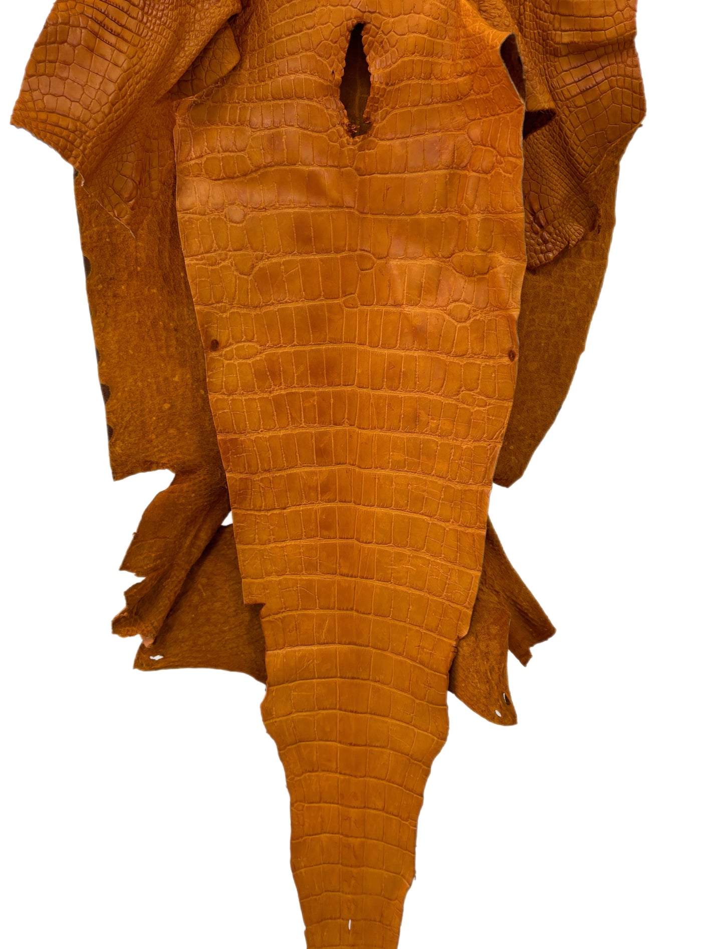 47 cm Grade 4/5 Buttercup Matte Wild American Alligator Leather - Tag: LA23-0004473