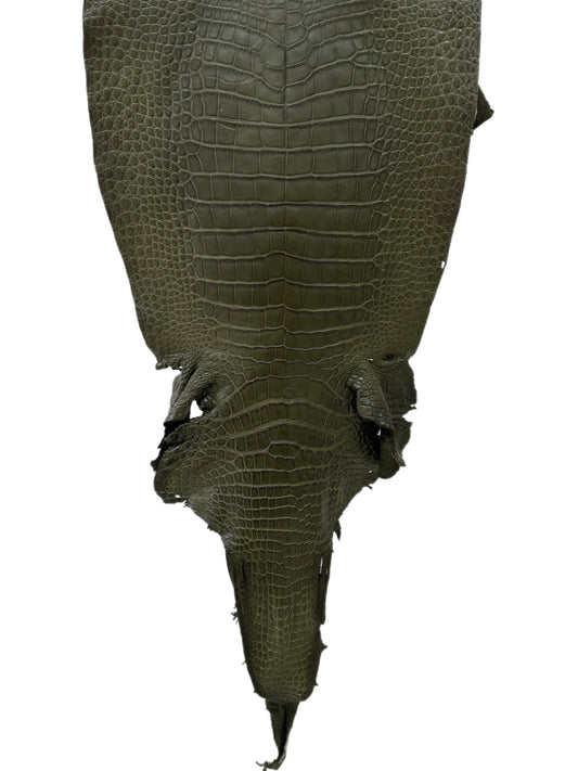 36 cm Grade 2/3 Olive Matte Wild American Alligator Leather - Tag: LA23-0016638