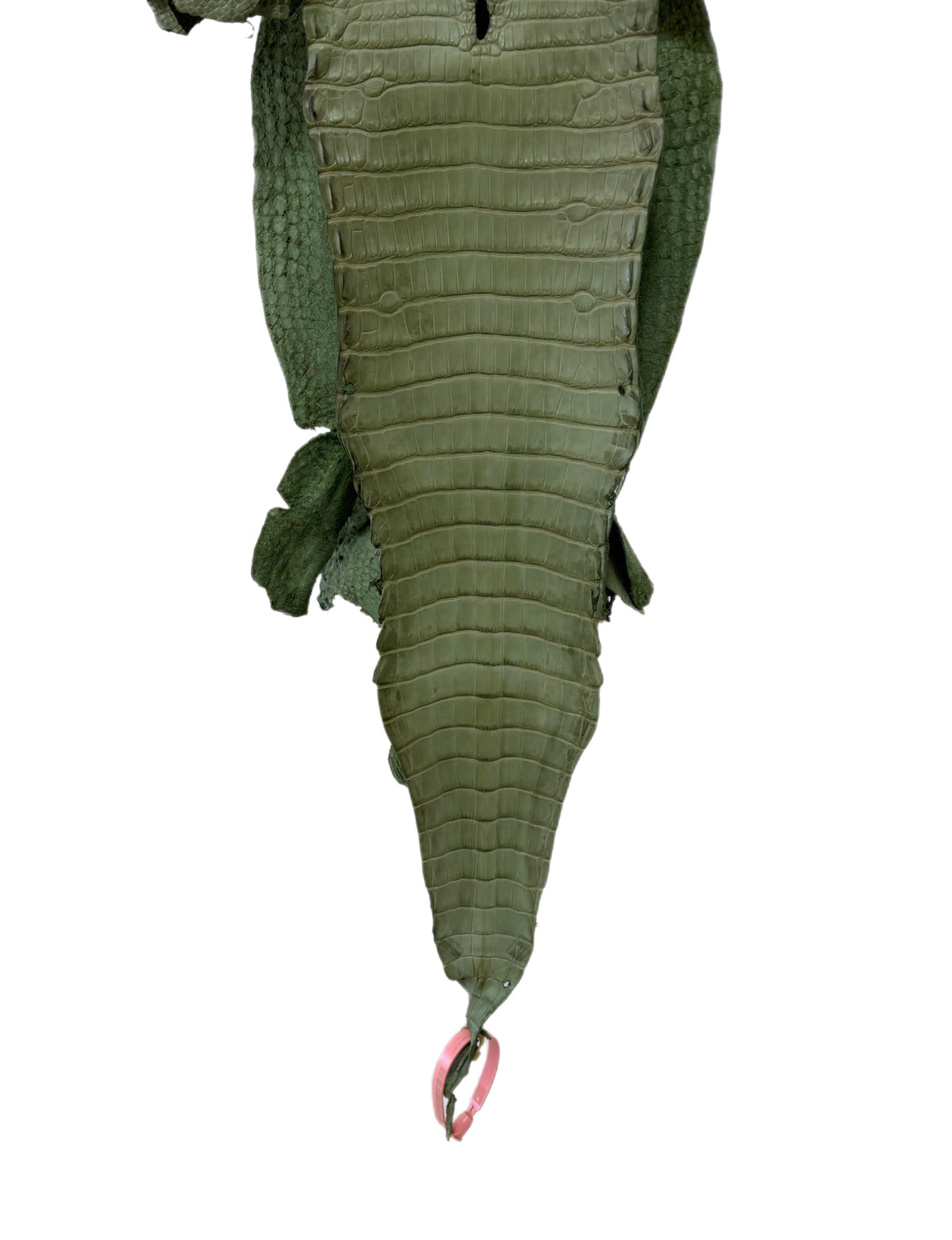New Color! 25 cm Grade 1/2 Sage Green Matte Farm-Raised American Alligator Leather - Tag: LA24-0228899
