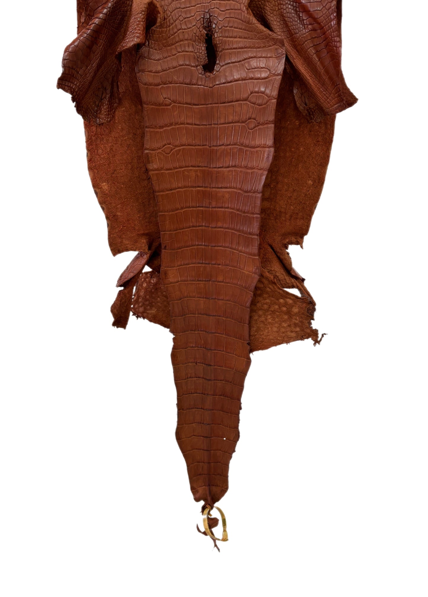 37 cm Grade 2/3 Cognac Matte Wild American Alligator Leather - Tag: LA23-0027020