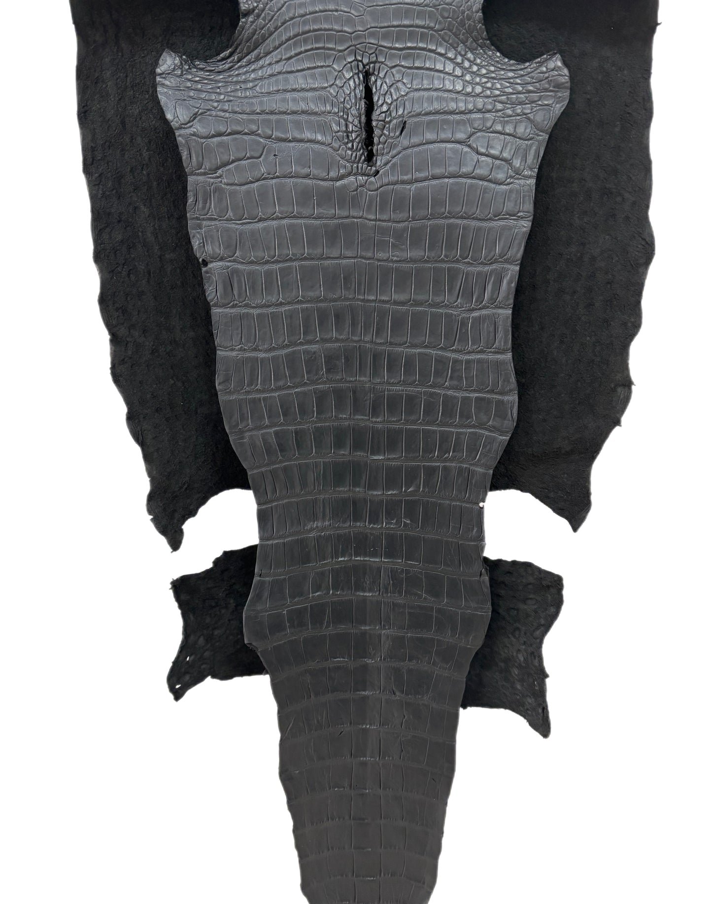52 cm Grade 3/4 Black Matte Wild American Alligator Leather - Tag: LA22-0003872