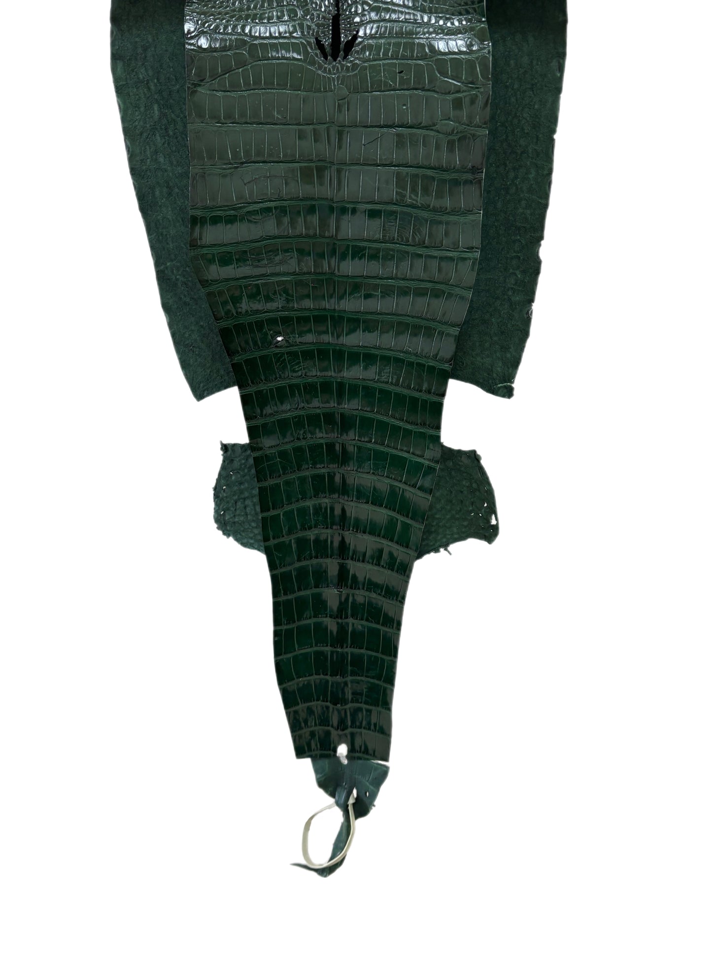 32 cm Grade 2/3 Forest Green Millennium Farm-Raised American Alligator Leather - Tag: FL17-0035806