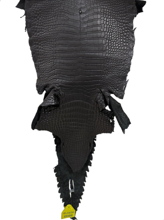 23 cm Grade 1/2 Black Matte Wild American Alligator Leather - Tag: GA15-0046517