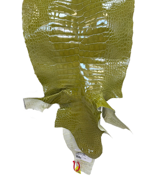 CLOSEOUT | 44 cm Grade 2/3 Muguet Glazed Wild American Alligator Leather - Tag: CCIT-0539946
