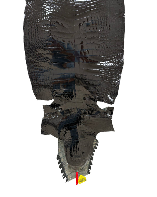 34 cm Grade 1/2 Black Glazed Wild American Alligator Leather - Tag: ITCC-0539887