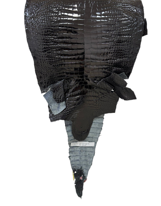 35 cm Grade 2/3 Black Glazed Wild American Alligator Leather - Tag: FL14-0003678