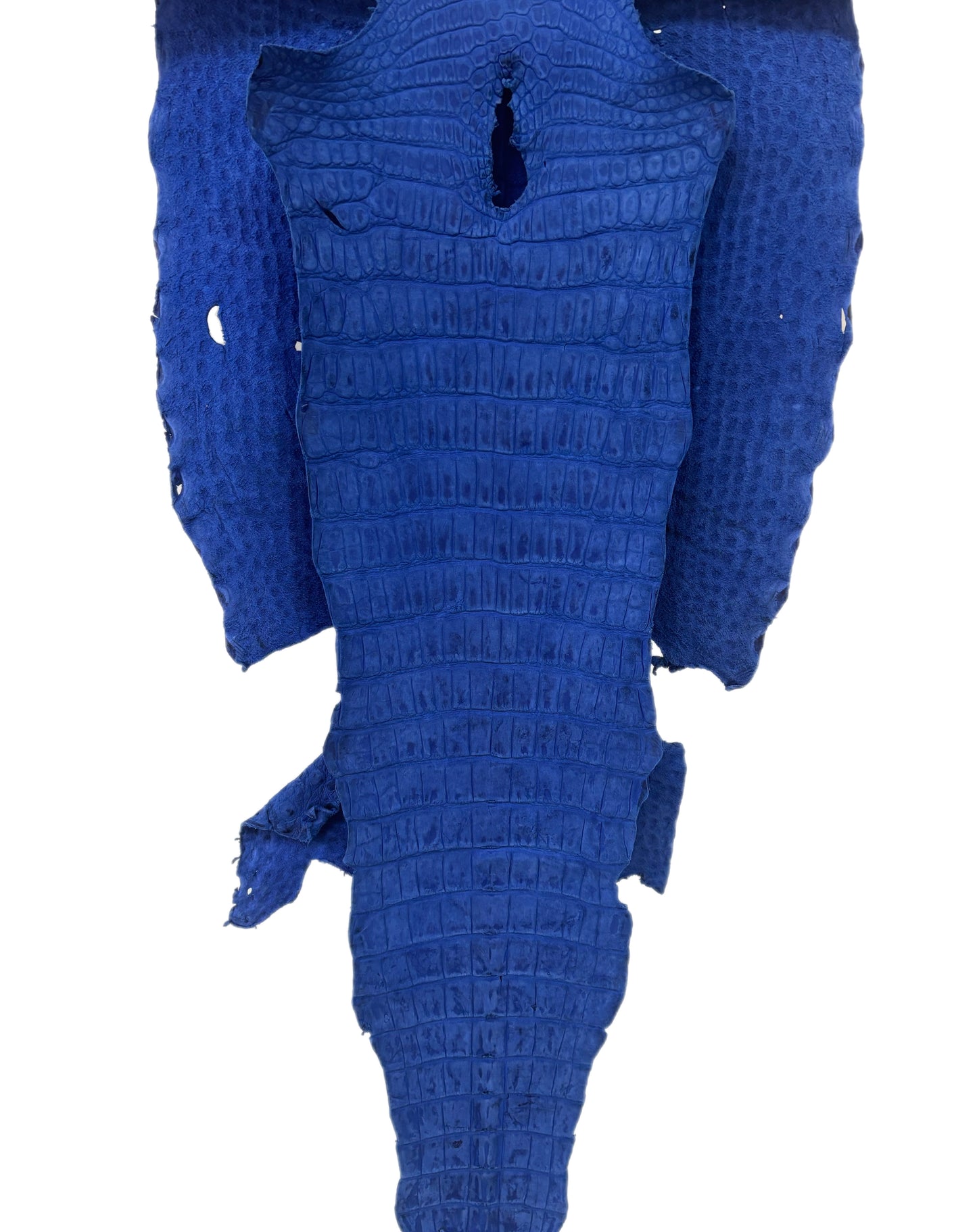 44 cm Grade 3/4 Cobalt Blue Nubuck Wild American Alligator Leather - Tag: LA22-0021549