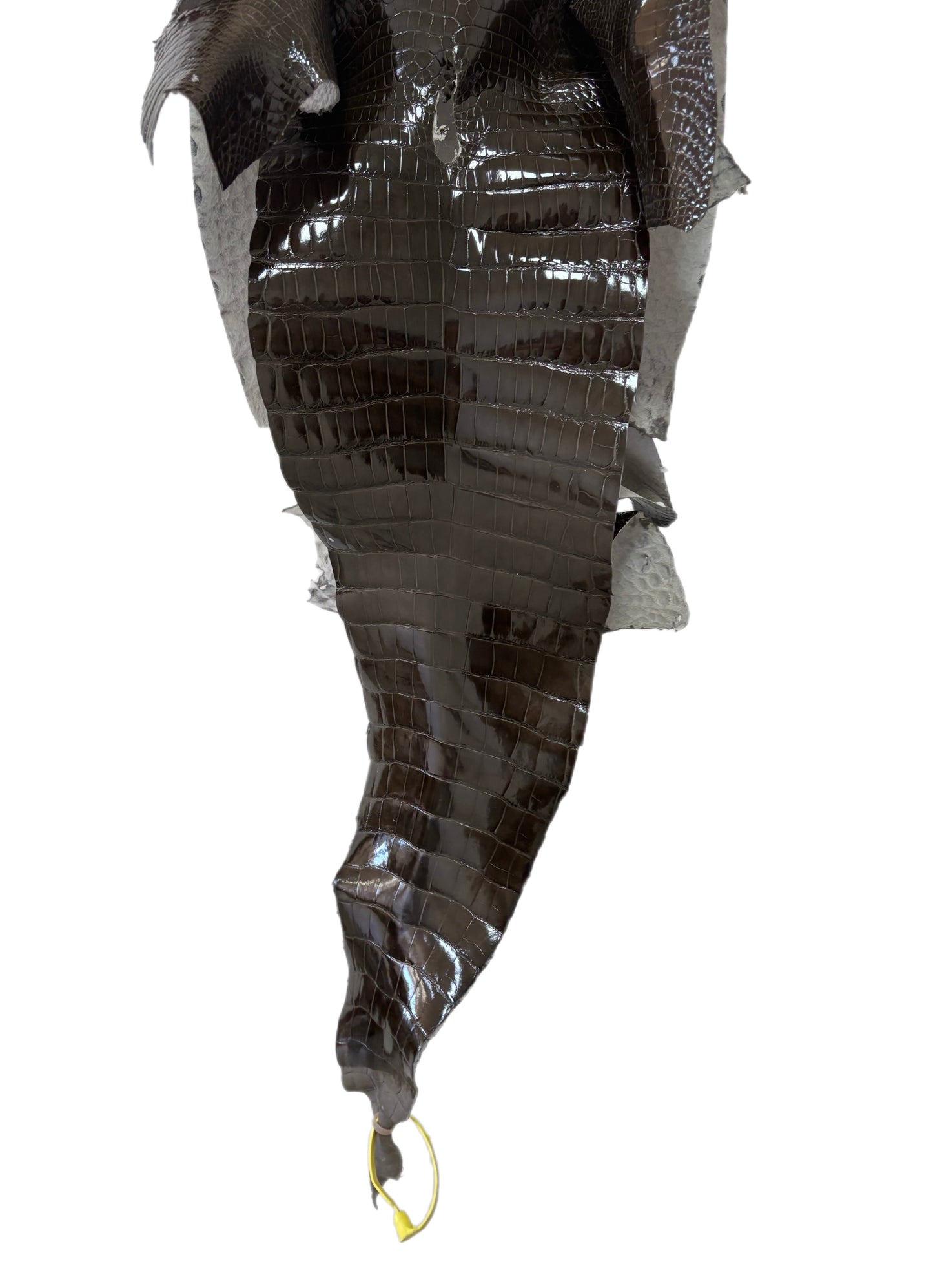32 cm Grade 1/2 Cocoa Glazed Farm-Raised American Alligator Leather - Tag: LA25-0316475