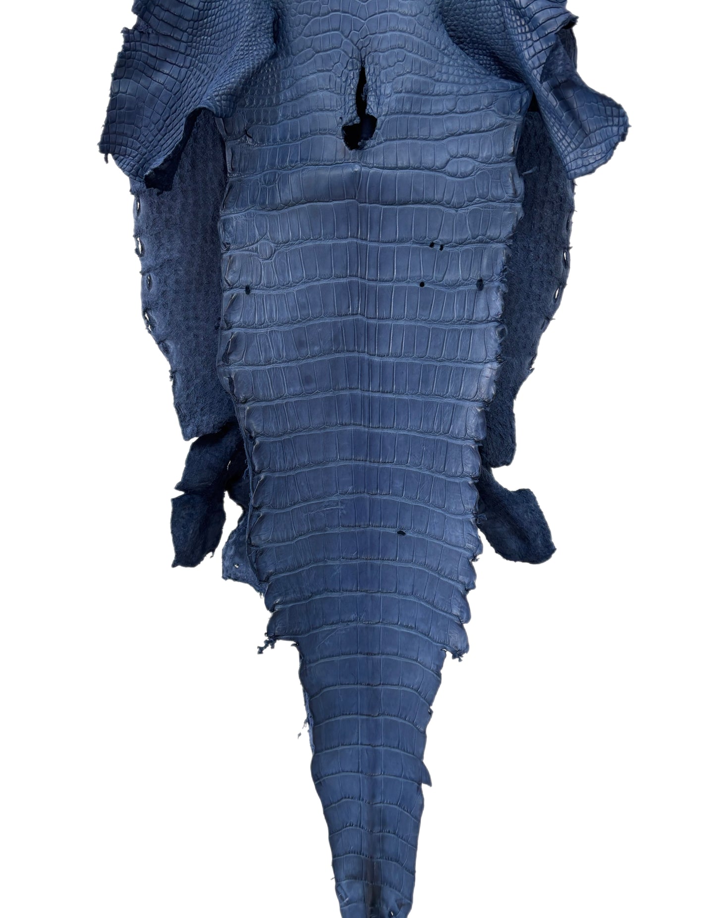 38 cm Grade 3/4 Indigo Matte Wild American Alligator Leather - Tag: LA23-0021029