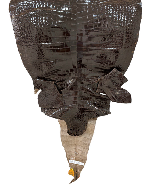 54 cm Grade 2/3 Sport Rust Brown Glazed Farm-Raised American Alligator Leather - Tag: FL14-0004025