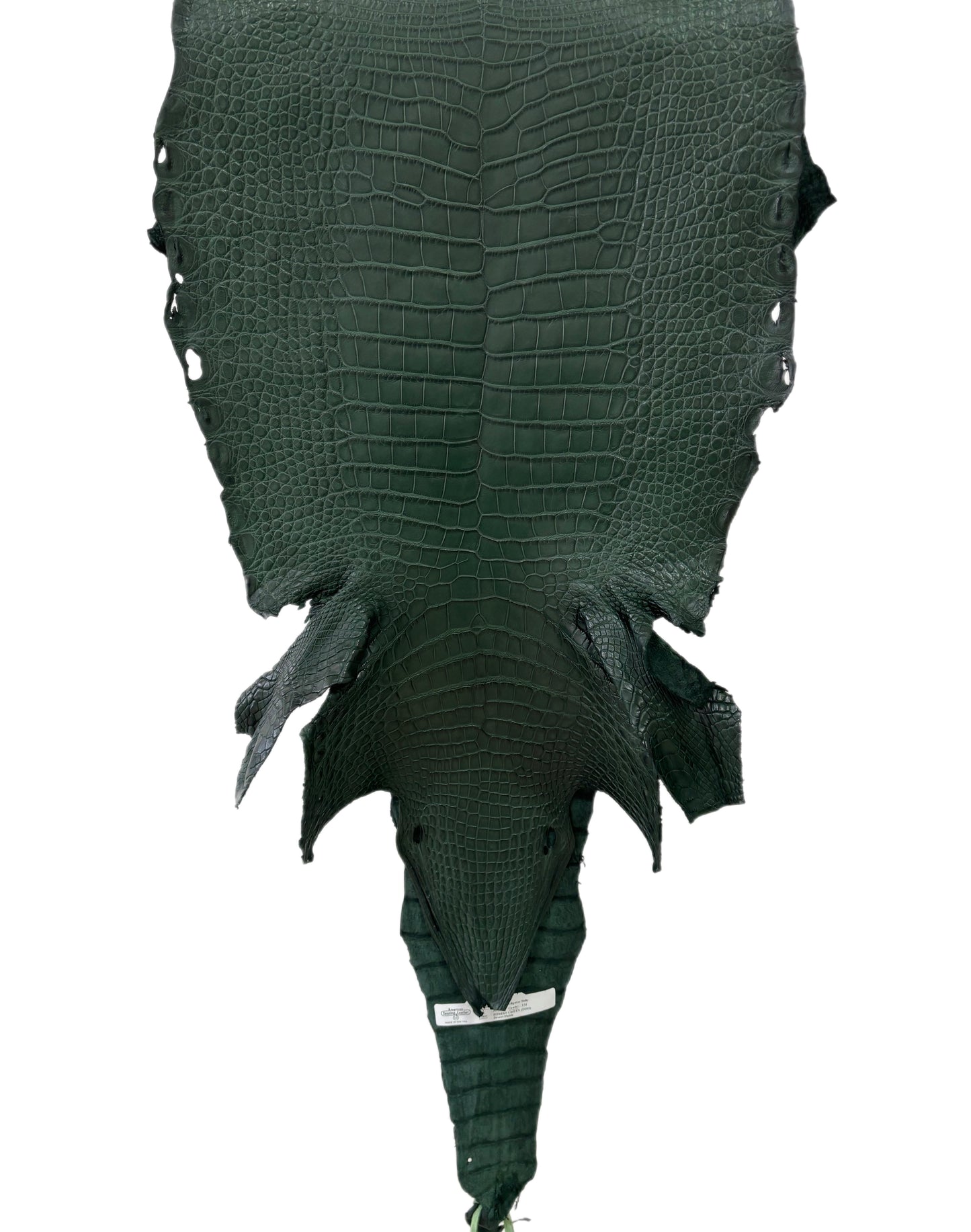 36 cm Grade 1/2 Forest Green Matte Wild American Alligator Leather - Tag: LA23-0030889
