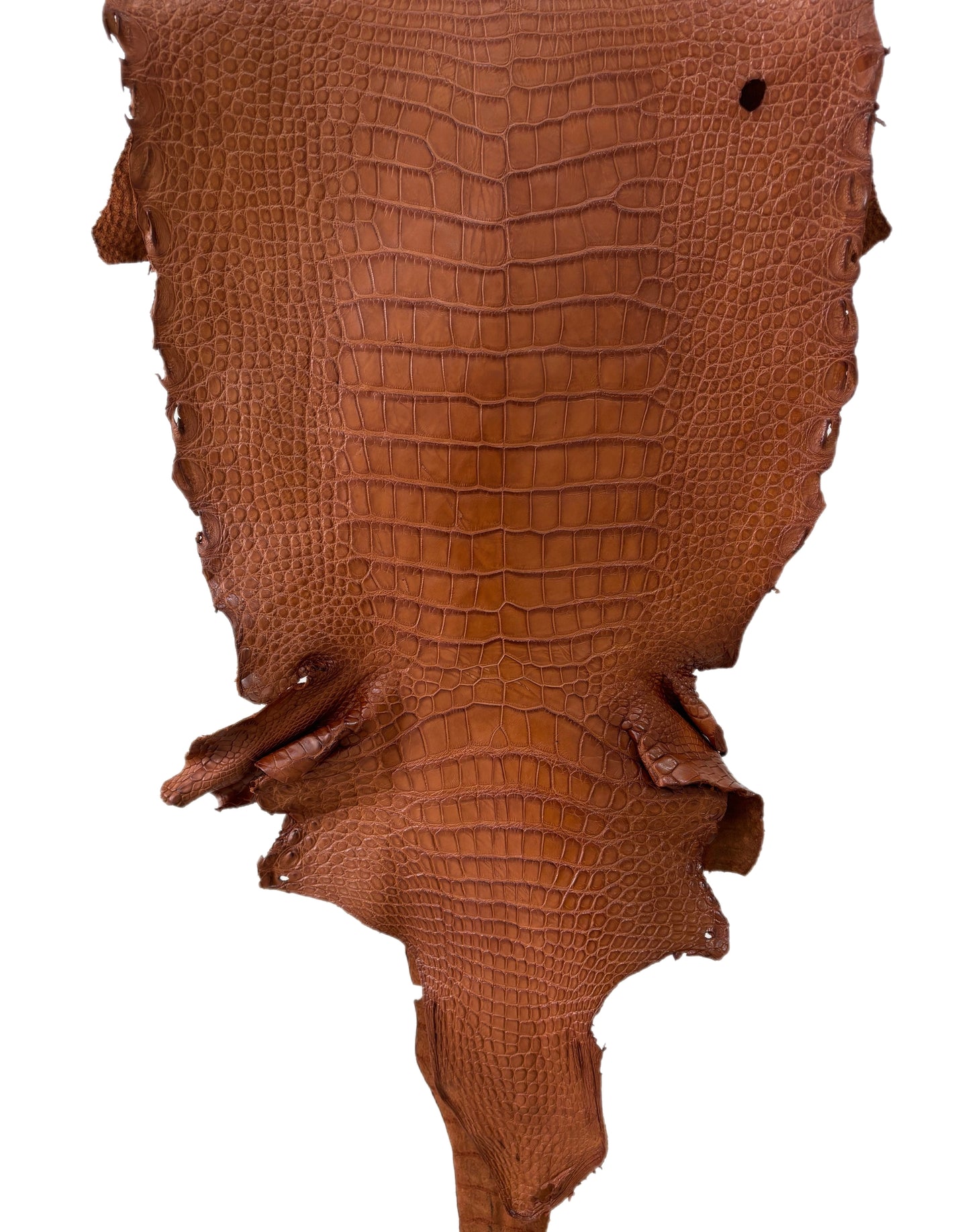 38 cm Grade 4/5 Cognac Matte Wild American Alligator Leather - Tag: LA23-0002853