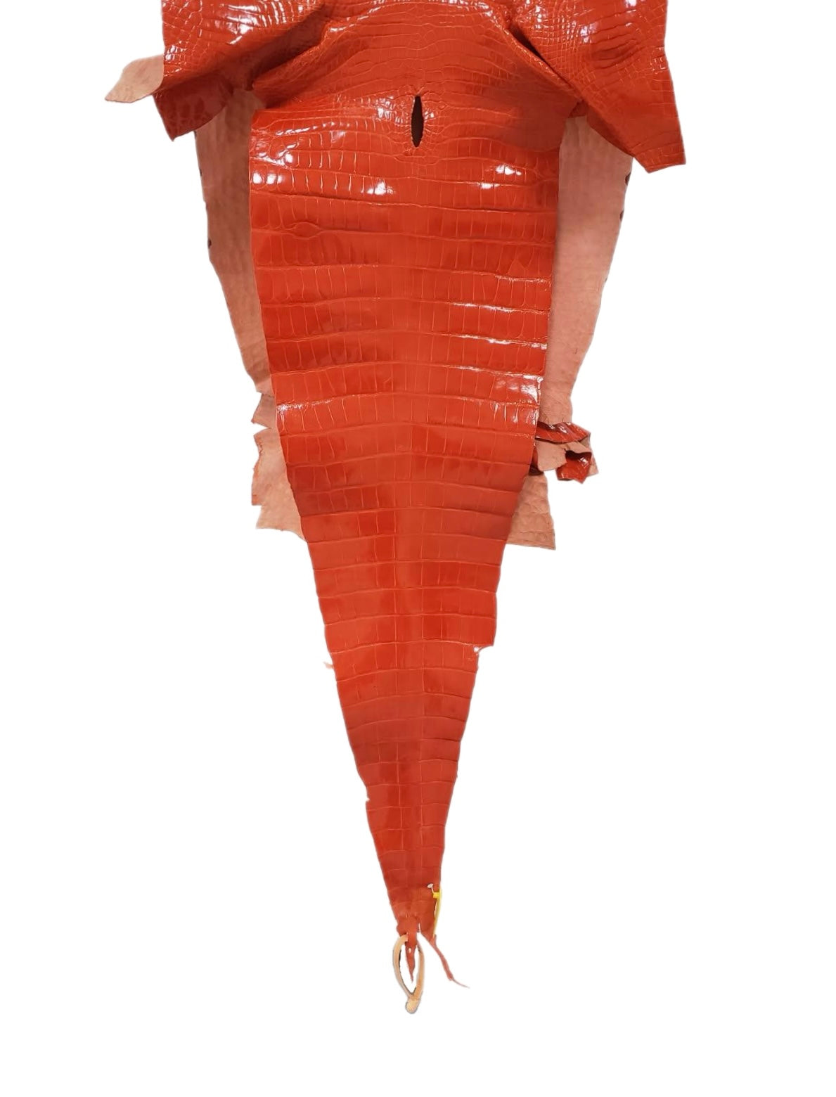 40 cm Grade 1/2 Mandarina Glazed Farm-Raised American Alligator Leather - Tag: LA14-0074051