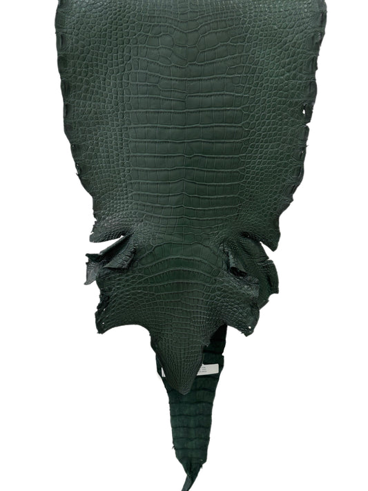 33 cm Grade 2/3 Forest Green Matte Wild American Alligator Leather - Tag: LA23-0049956