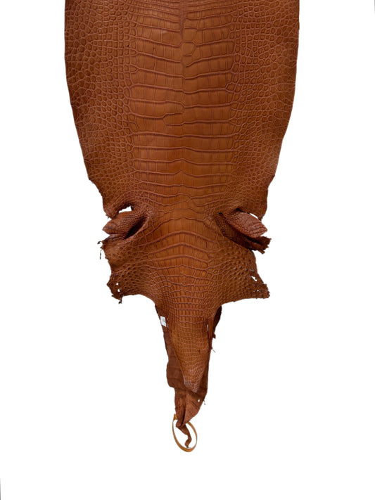 32 cm Grade 2/3 Cognac Matte Farm-Raised American Alligator Leather - Tag: LA23-0531067