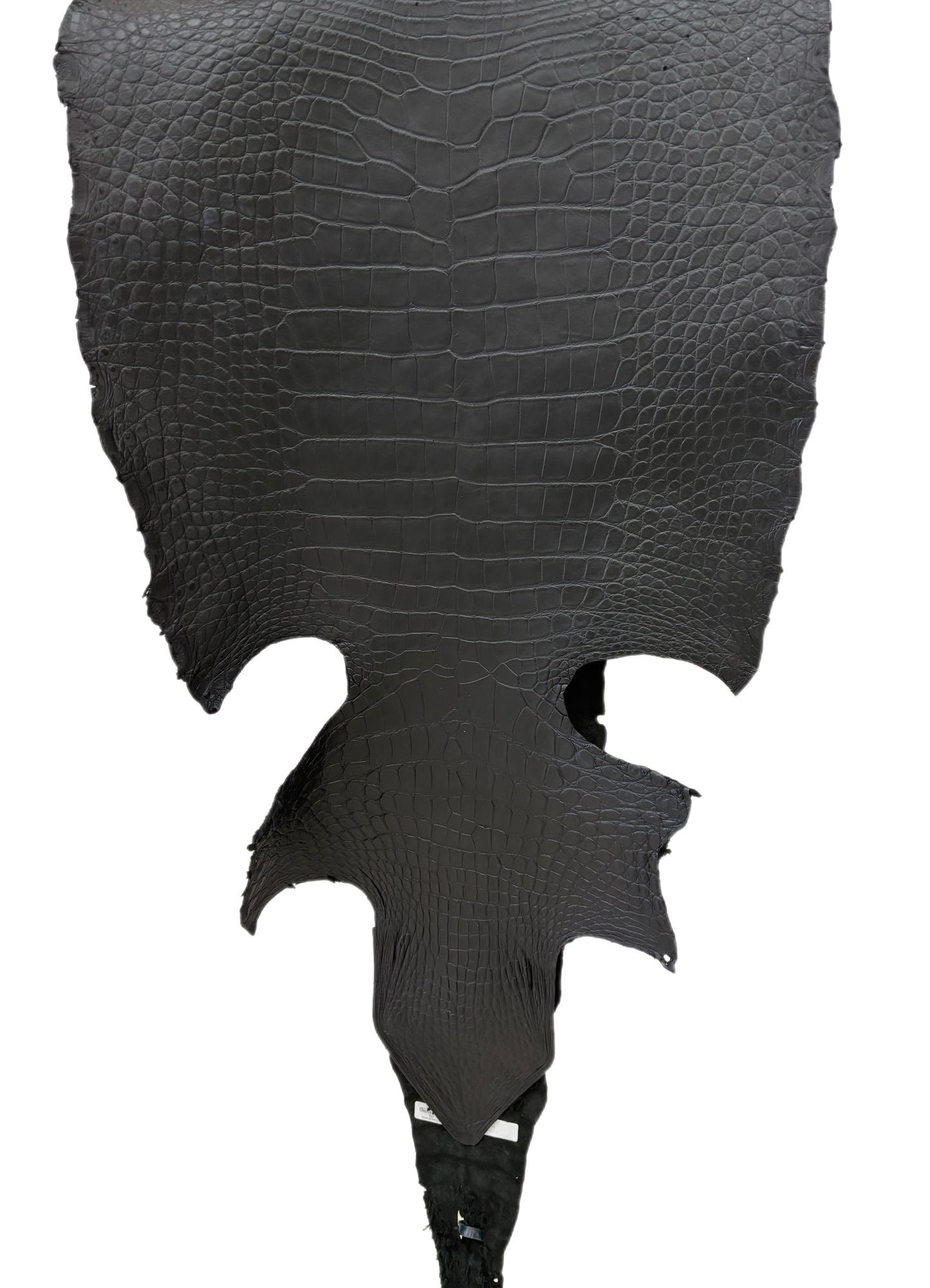 51 cm Grade 3/4 Black Matte Wild American Alligator Leather - Tag: LA22-0010486