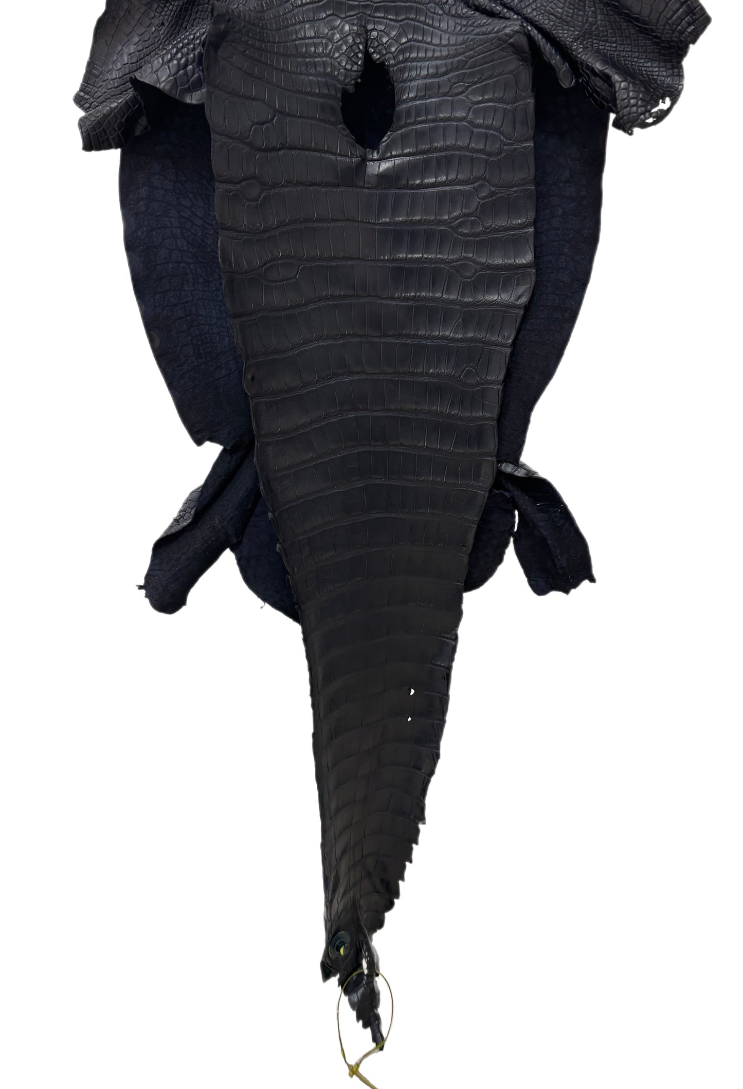 41 cm Grade 1 Navy Blue Matte Wild American Alligator Leather - Tag: ITCC-0730846