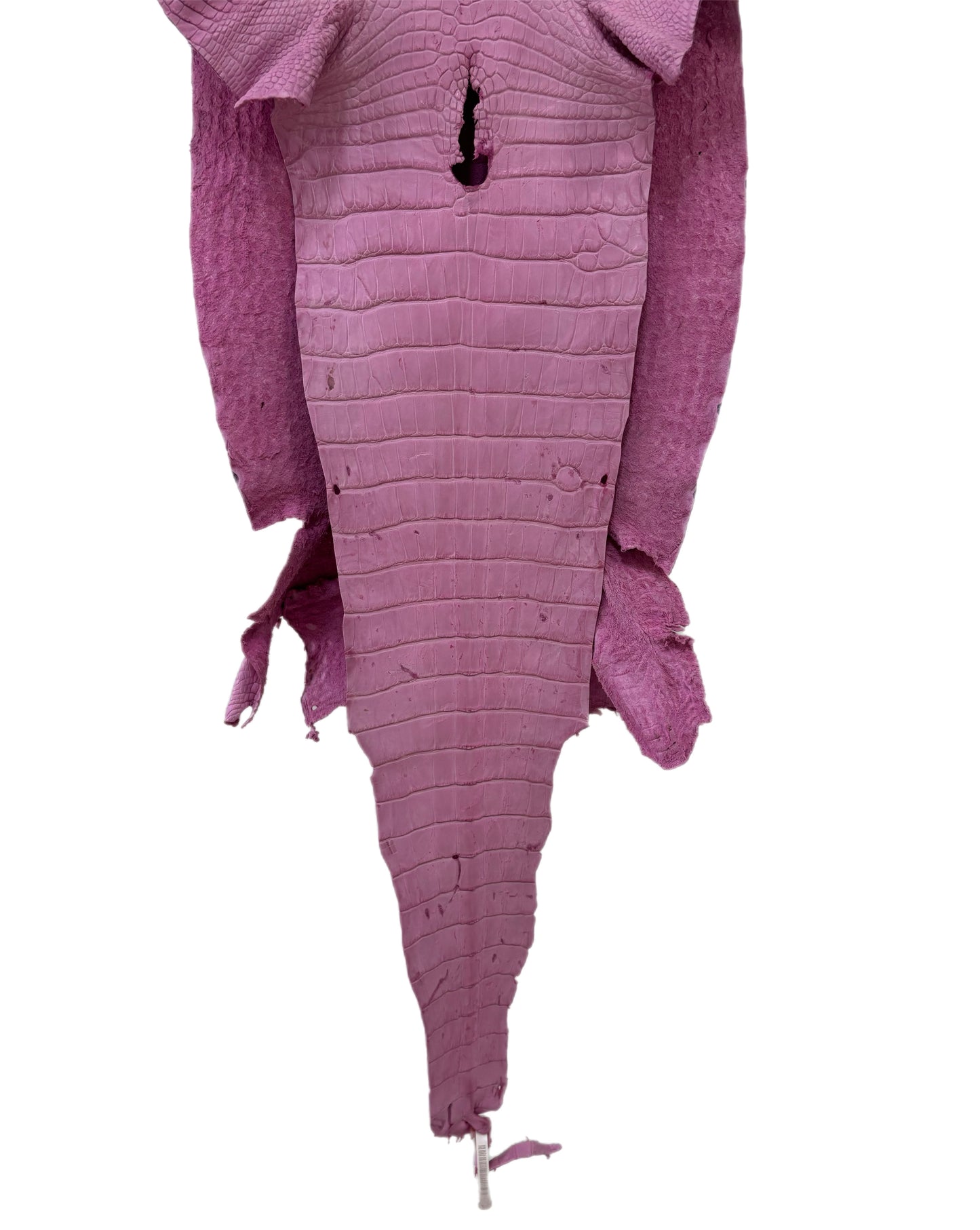 39 cm Grade 3/4 Cotton Candy Matte Wild American Alligator Leather - Tag: LA23-0014554