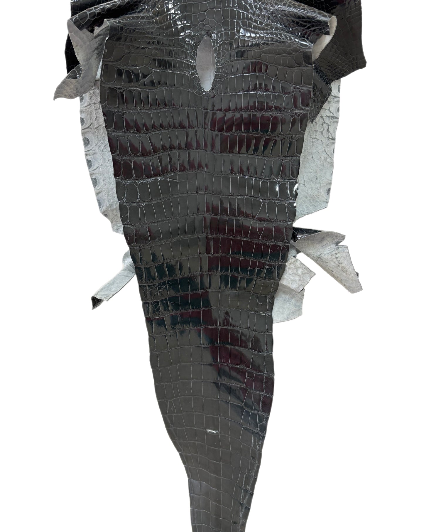 36 cm Grade 2/3 Grey Glazed Farm-Raised American Alligator Leather - Tag: GA14-0021729