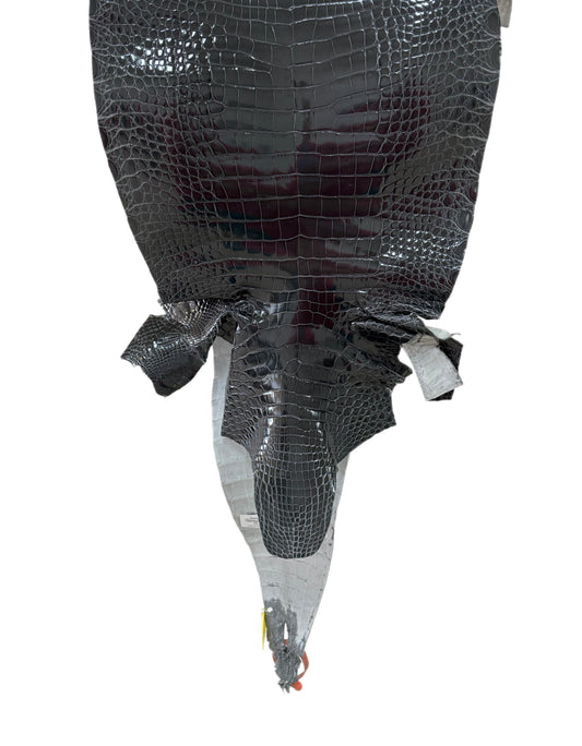 33 cm Grade 2/3 Grey Glazed Farm-Raised American Alligator Leather - Tag: GA14-0008041