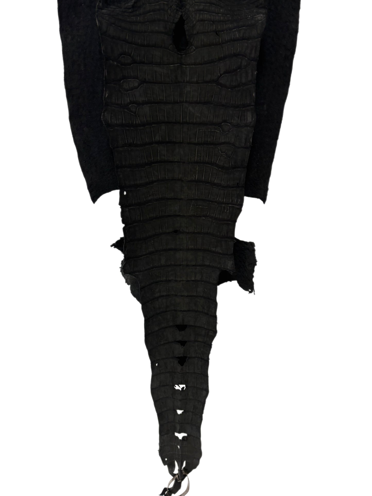 40 cm Grade 3/4 Black Nubuck Wild American Alligator Leather - Tag: LA23-0005280