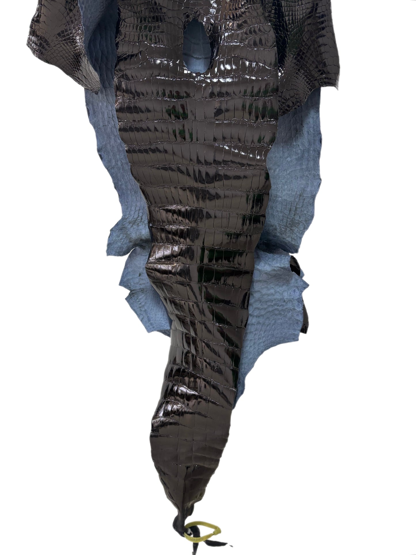 42 cm Grade 1/2 Black Glazed Wild American Alligator Leather - Tag: LA25-0019712