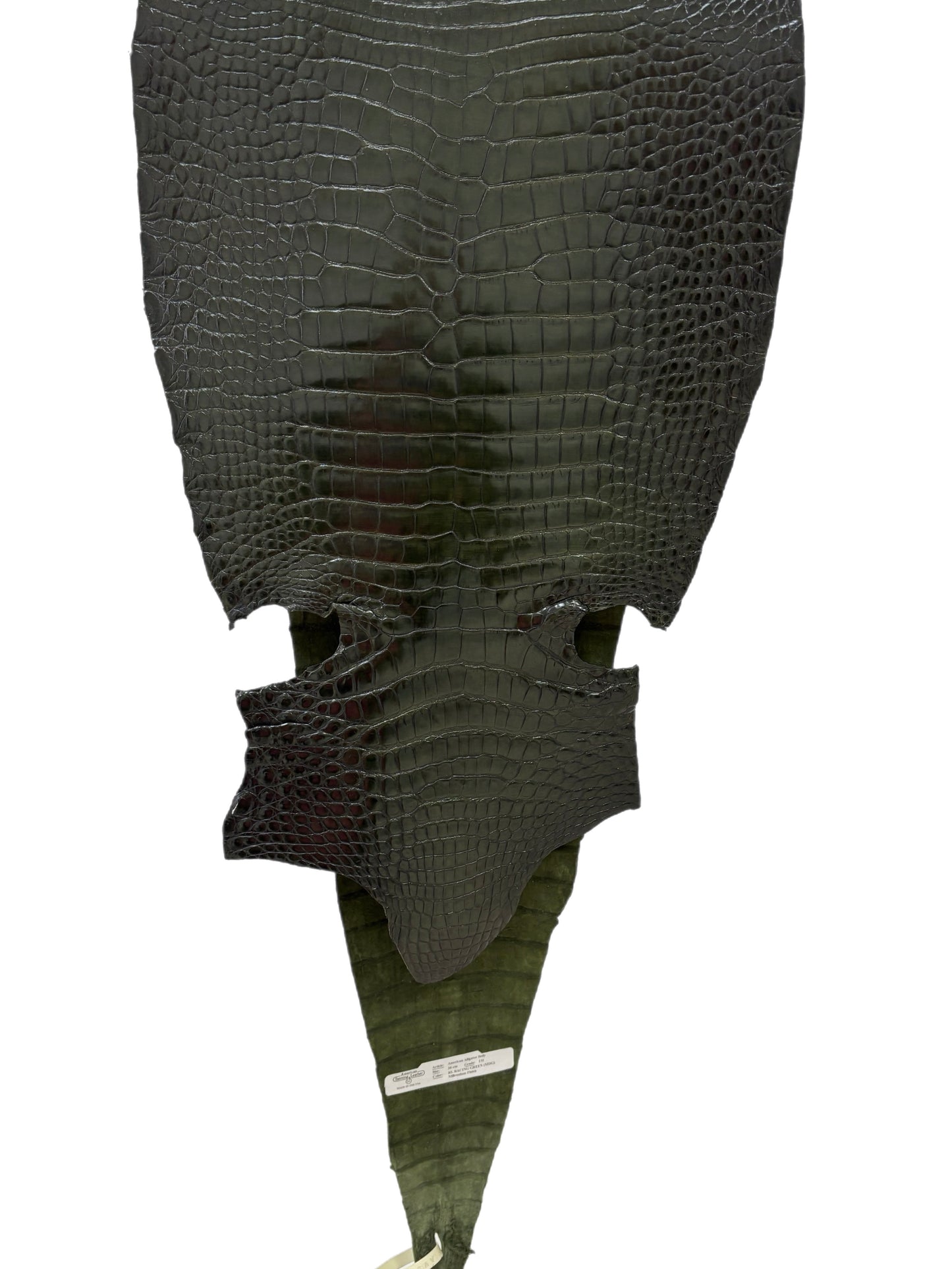 36 cm Grade 1/2 Racing Green Millennium Farm-Raised American Alligator Leather - Tag: LA17-0274643