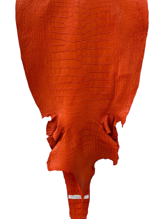45 cm Grade 2/3 Orange Matte Wild American Alligator Leather - Tag: LA23-0010993