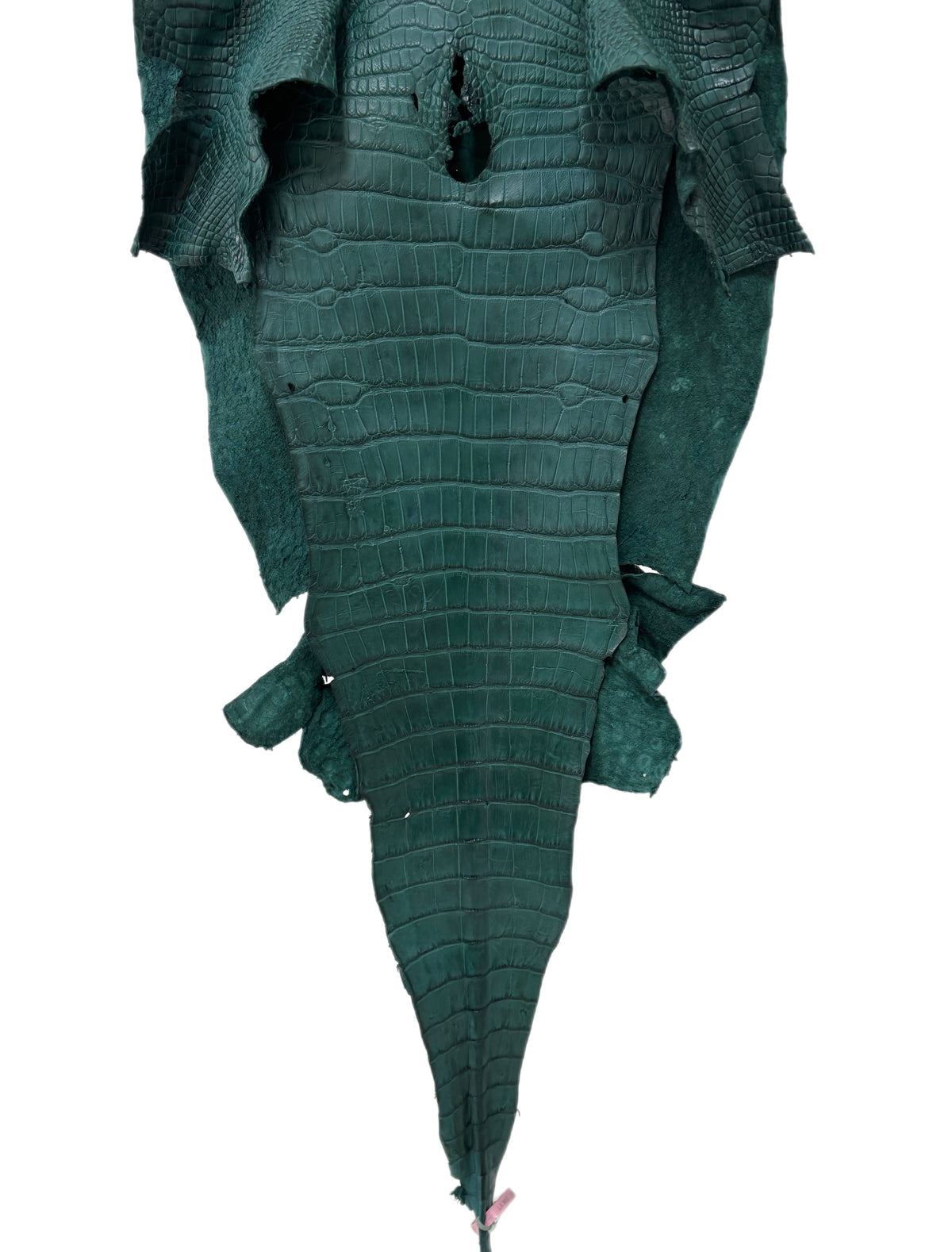 44 cm Grade 4/5 Filigrana Matte Wild American Alligator Leather - Tag: LA24-0053522