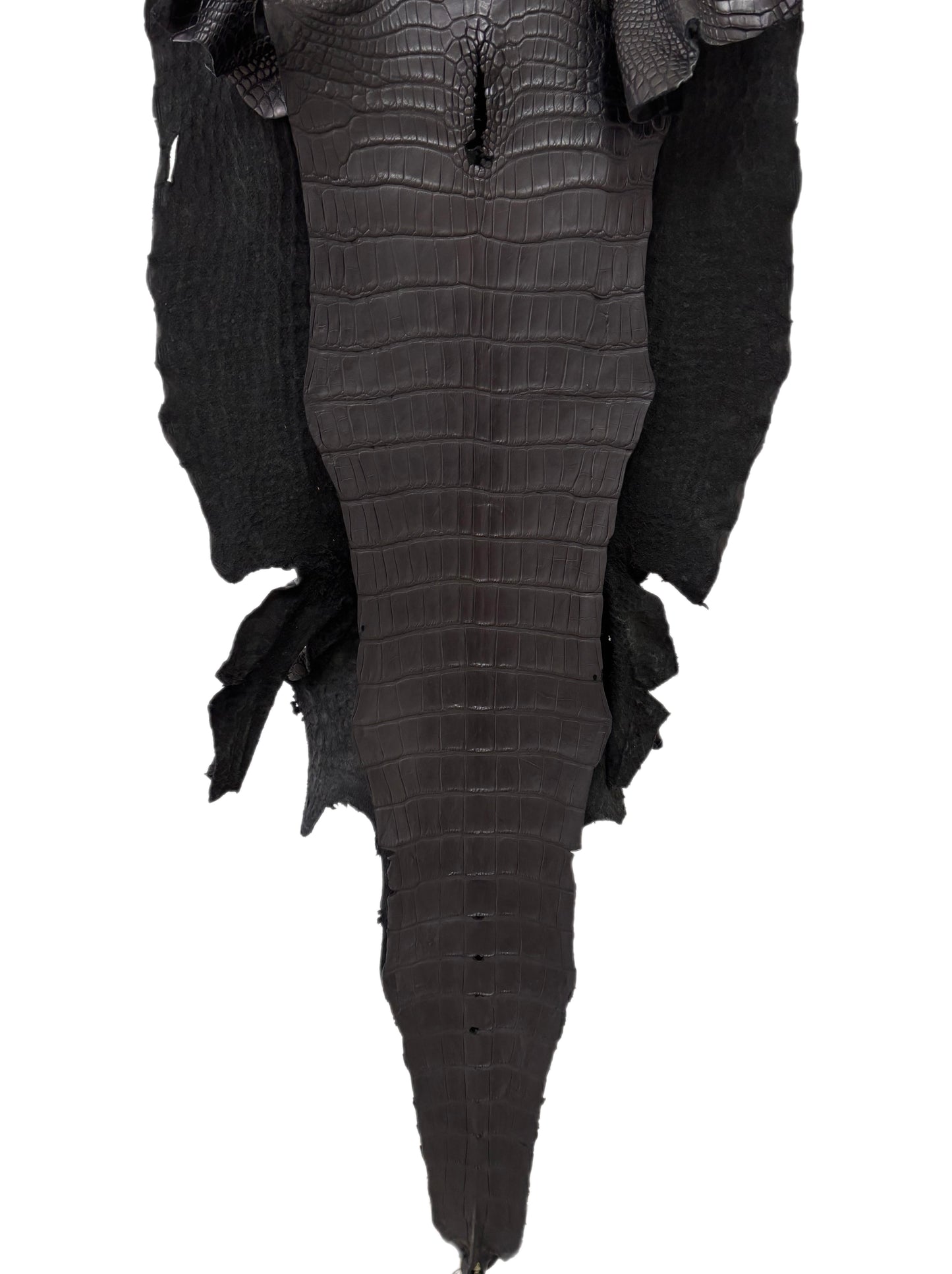 50 cm Grade 2/3 Black Matte Wild American Alligator Leather - Tag: LA22-0018177