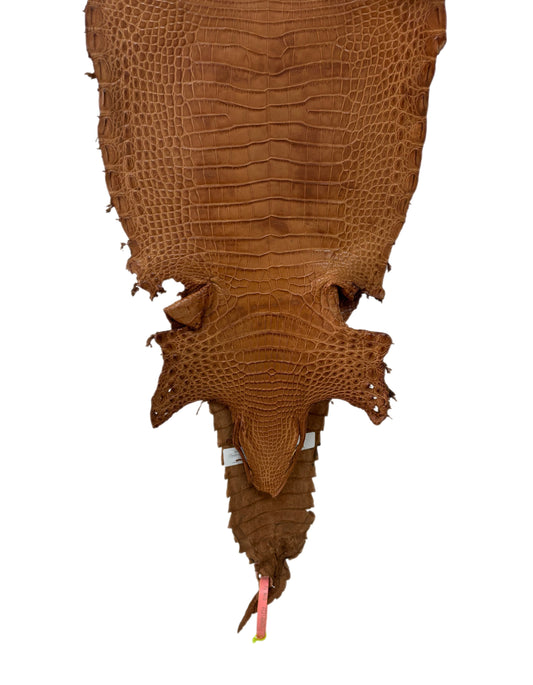 25 cm Grade 4/5 Almond Matte Farm Raised American Alligator Leather - Tag: FL21-0024523