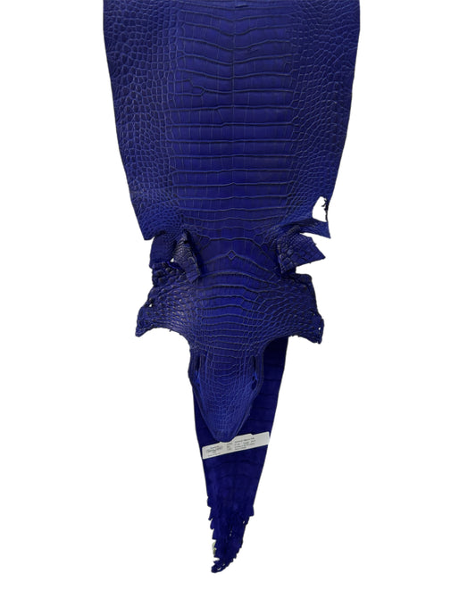 27 cm Grade 3/4 Cobalt Blue Matte Farm-Raised American Alligator Leather - Tag: FL22-0030246