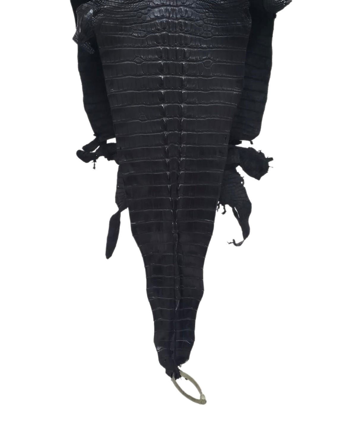 36 cm Grade 1/2 Black Matte Farm-Raised American Alligator Hornback Leather - Tag: LA23-0377045