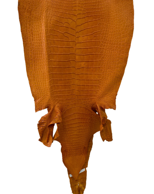 45 cm Grade 4/5 Buttercup Matte Wild American Alligator Leather - Tag: LA23-0014950
