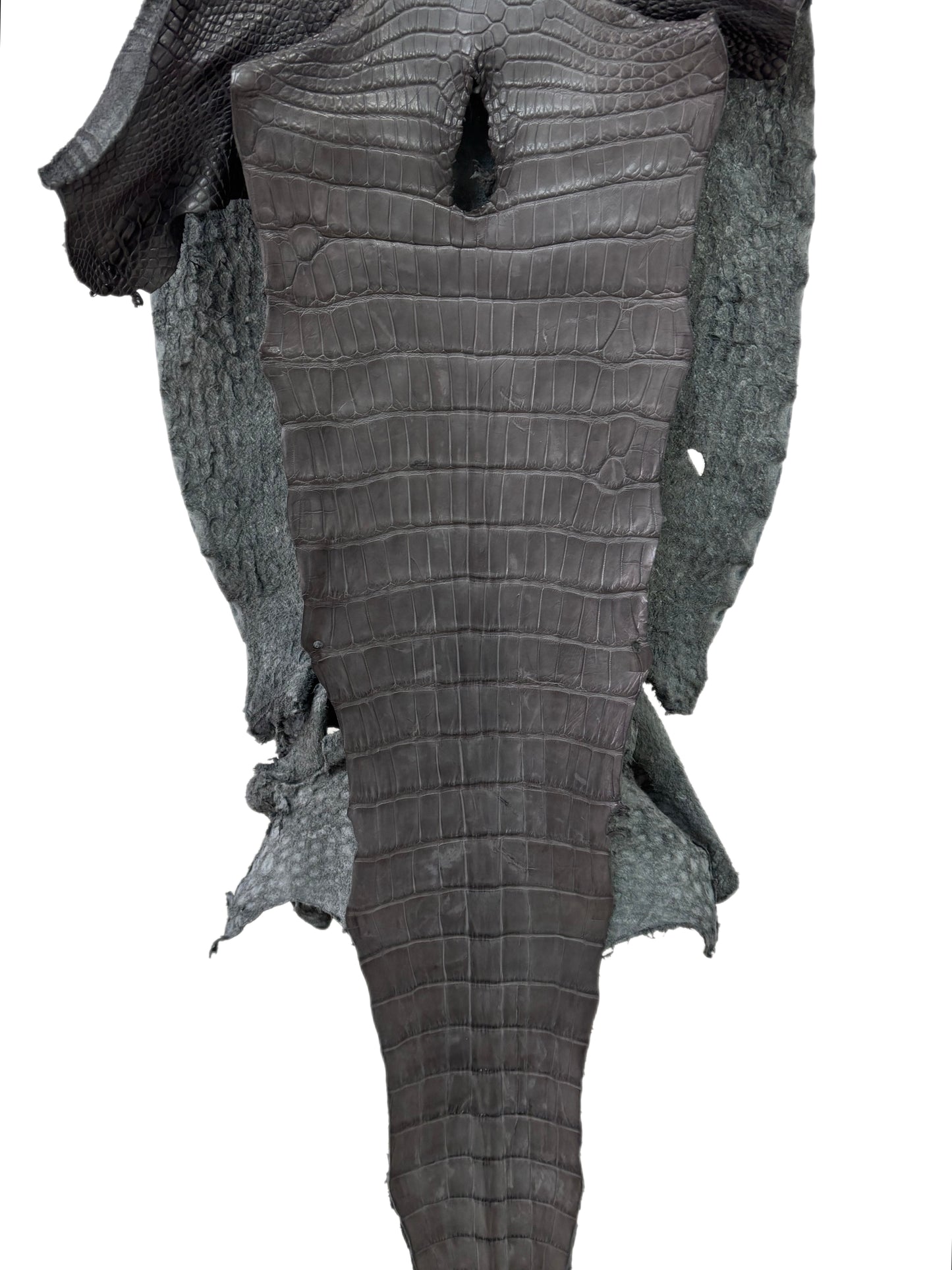 41 cm Grade 3/4 Serpentine Grey Matte Wild American Alligator Leather - Tag: LA23-0040877