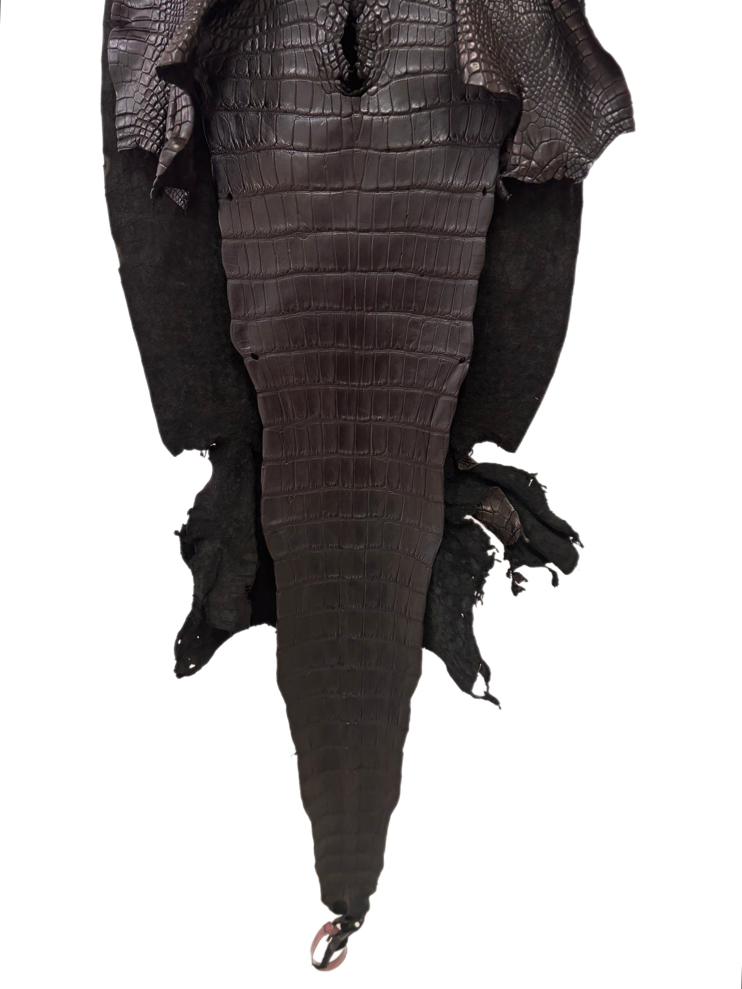 40 cm Grade 3/4 Black Matte Wild American Alligator Leather - Tag: FL24-0077507