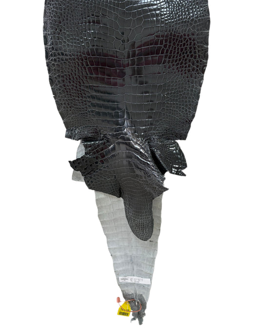 35 cm Grade 1/2 Grey Glazed Farm-Raised American Alligator Leather - Tag: GA14-0021740