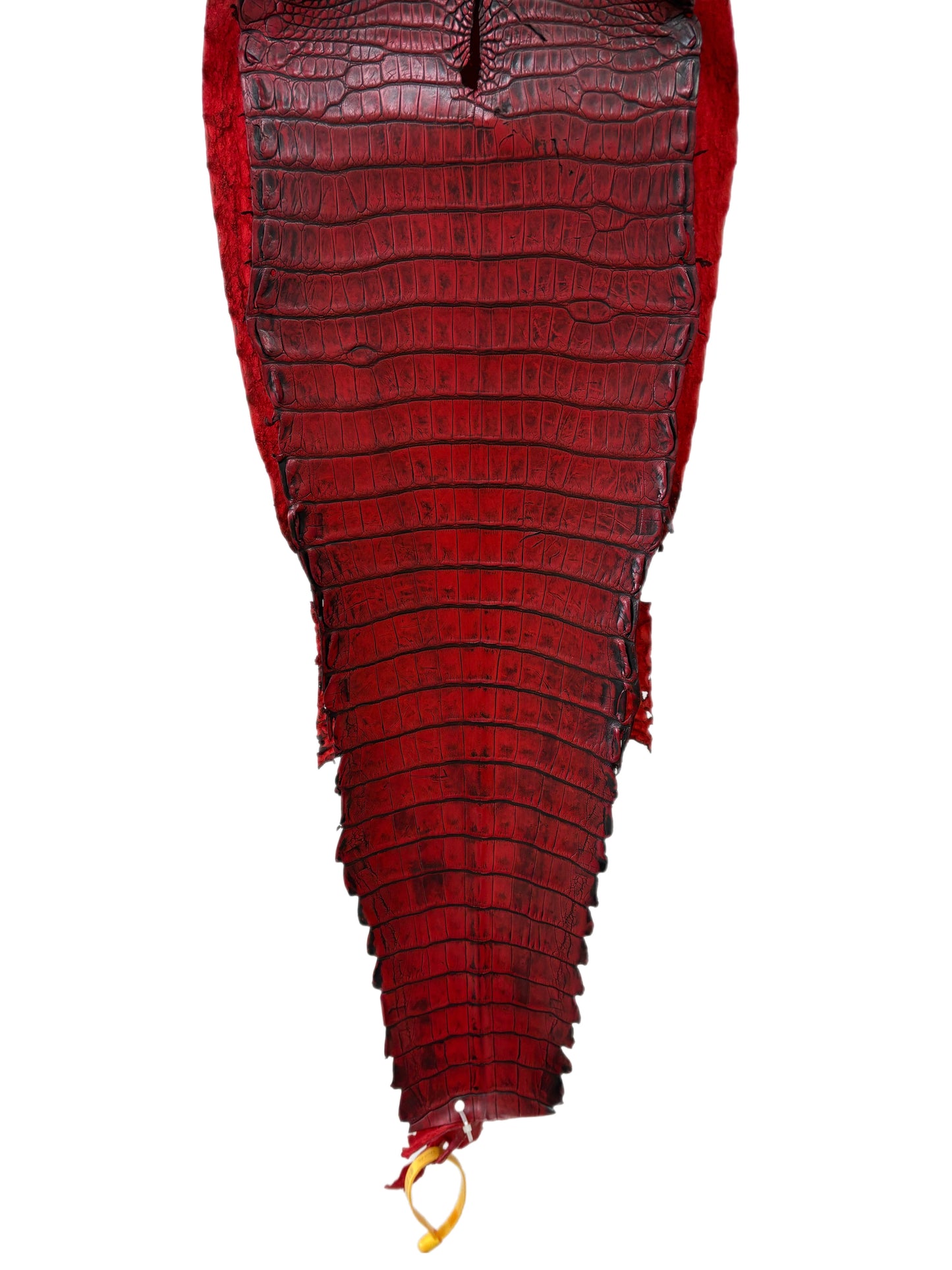 30 cm Grade 1/2 Candy Apple Red Antique Farm-raised American Alligator Leather - Tag: FL22-0030320