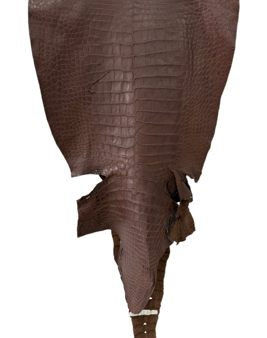 50 cm Grade 3/4 Chocolate Matte Wild American Alligator Leather - Tag: LA11-0037815