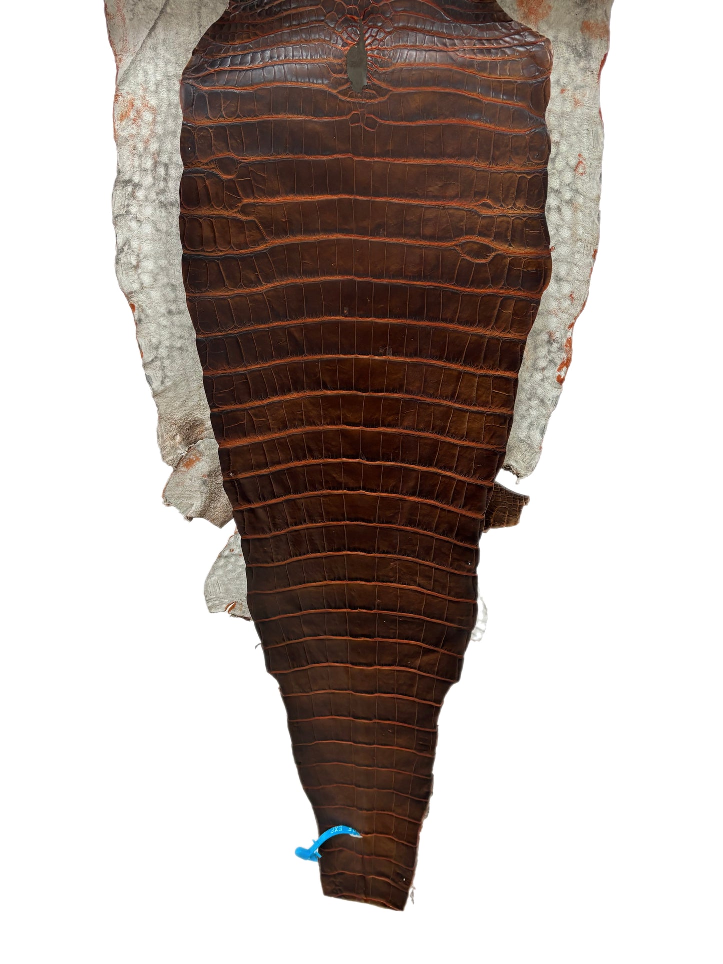 40 cm Grade 1/2 Sienna Matte Wild American Alligator Leather - Tag: ESRE-0050842