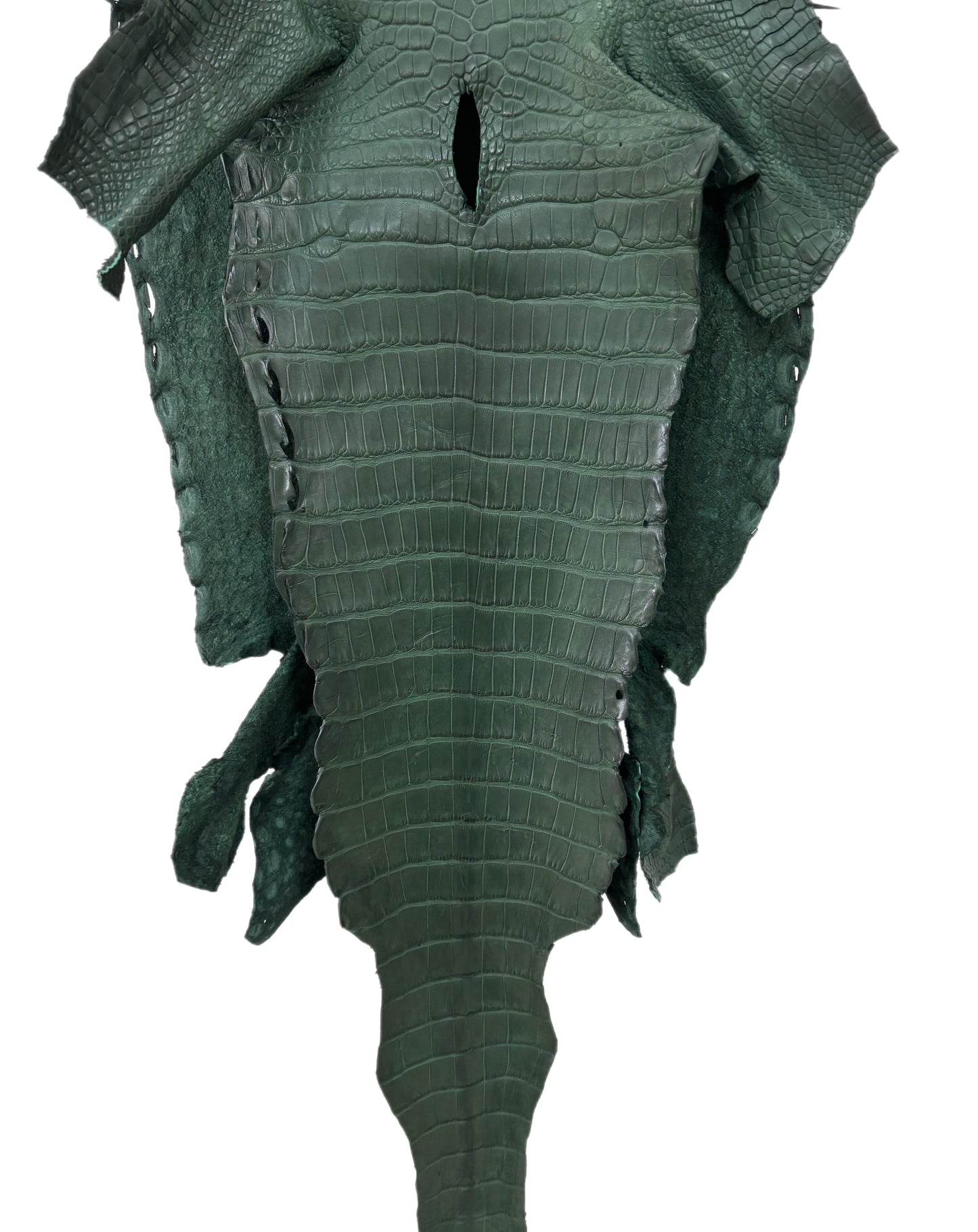 35 cm Grade 3/4 Forest Green Matte Wild American Alligator Leather - Tag: LA23-0024215
