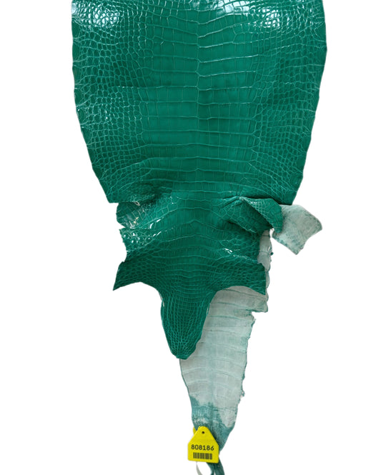 26 cm Grade 1 Tiffany Blue Classic Wild American Alligator Leather - Tag: LA14-0074080