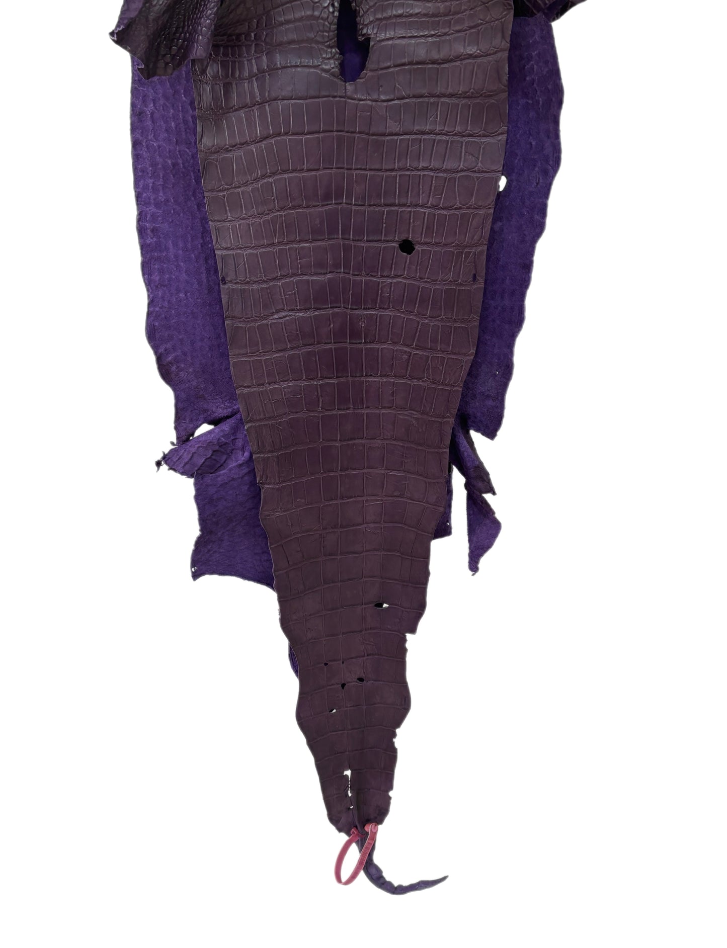 38 cm Grade 3/4 Aubergine Matte Wild American Alligator Leather - Tag: LA23-0003002