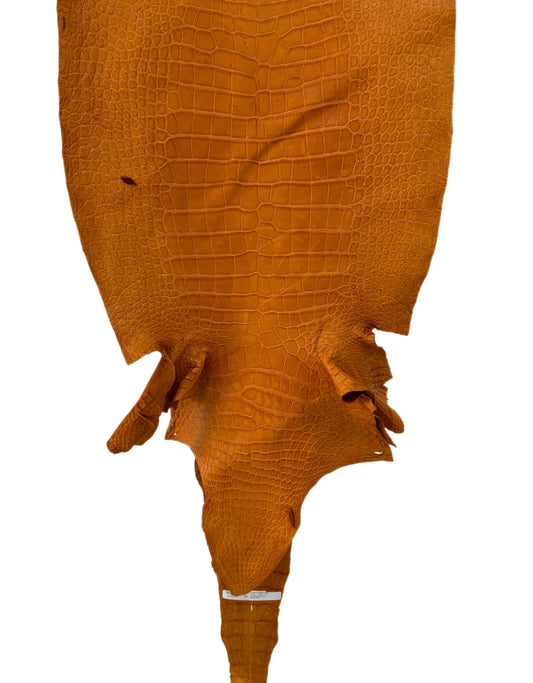 47 cm Grade 4/5 Buttercup Matte Wild American Alligator Leather - Tag: LA23-0004473