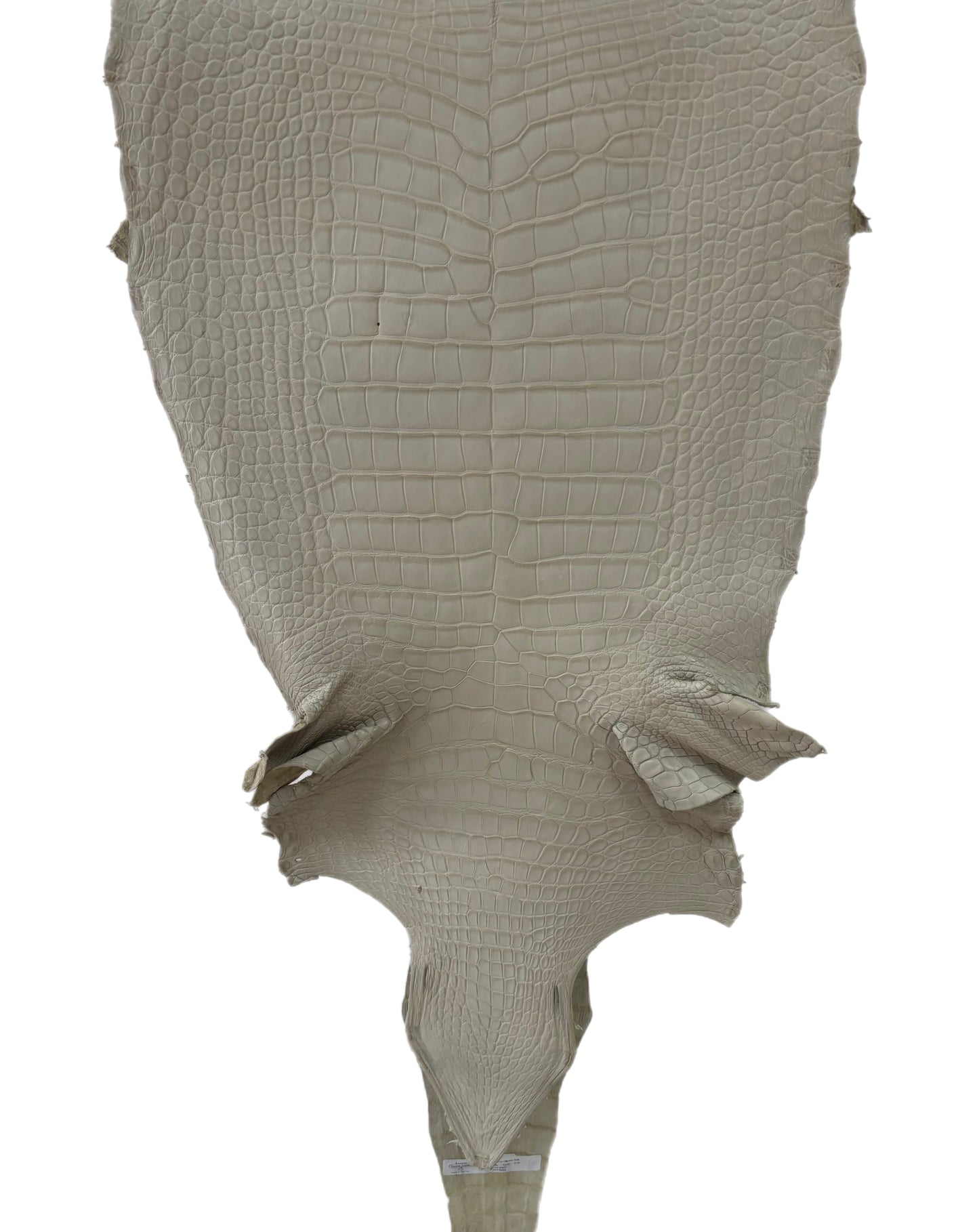 52 cm Grade 2/3 Dune Matte Farm American Alligator Leather - Tag: LA23-0017248